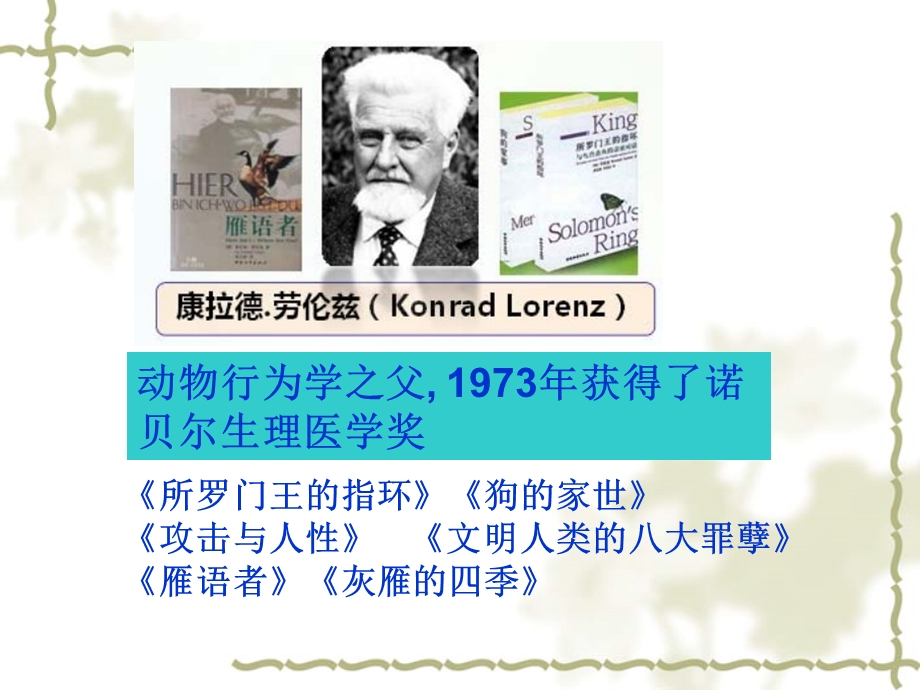 神经行为学检测方法.ppt_第3页