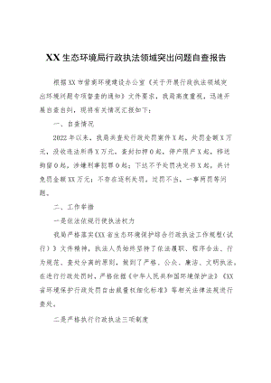 XX生态环境局行政执法领域突出问题自查报告.docx