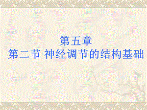 神经调节的结构基础新.ppt