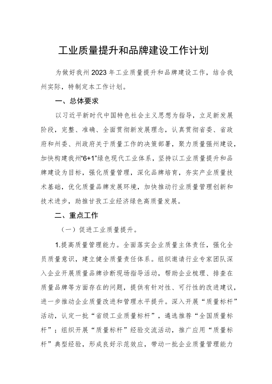 工业质量提升和品牌建设工作计划.docx_第1页