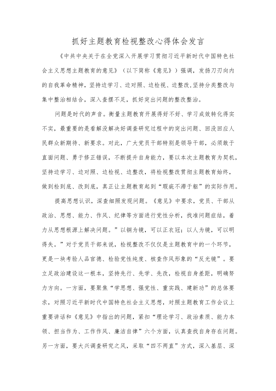 抓好主题教育检视整改心得体会发言.docx_第1页