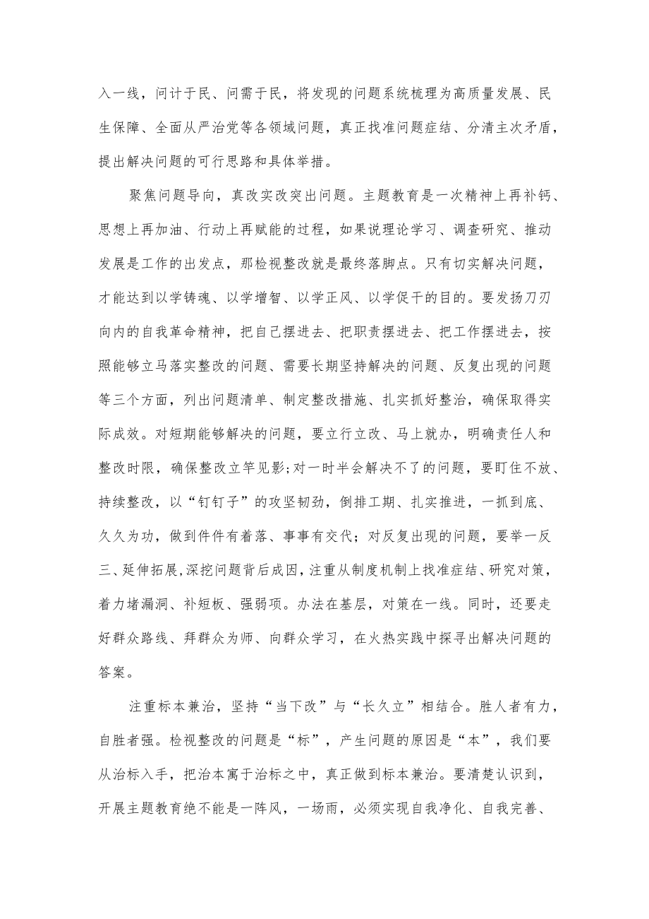 抓好主题教育检视整改心得体会发言.docx_第2页