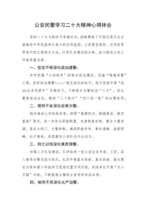 公安民警学习二十大精神心得体会.docx