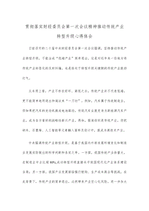 贯彻落实财经委员会第一次会议精神推动传统产业转型升级心得体会.docx