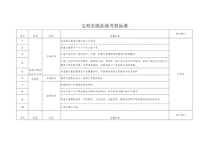 文明实践拓展考核标准.docx