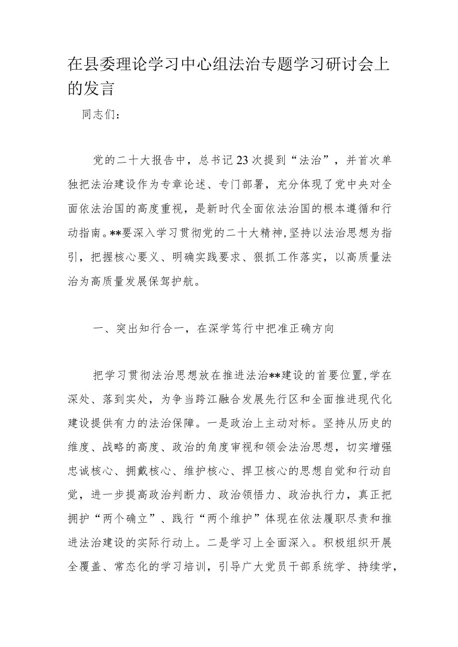 在县委理论学习中心组法治专题学习研讨会上的发言.docx_第1页