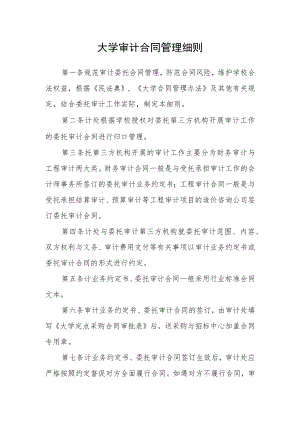 大学审计合同管理细则.docx