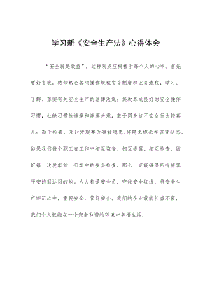 新修订《安全生产法》电力人员学习心得十篇.docx