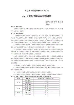 用友软件—()2005大客户销售激励制度.docx