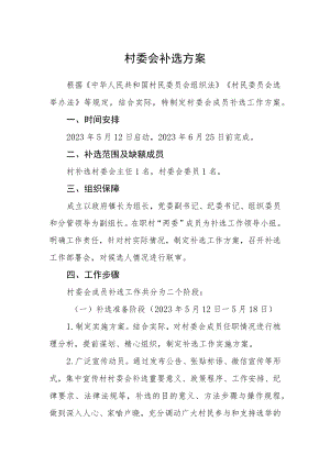 村委会补选方案.docx