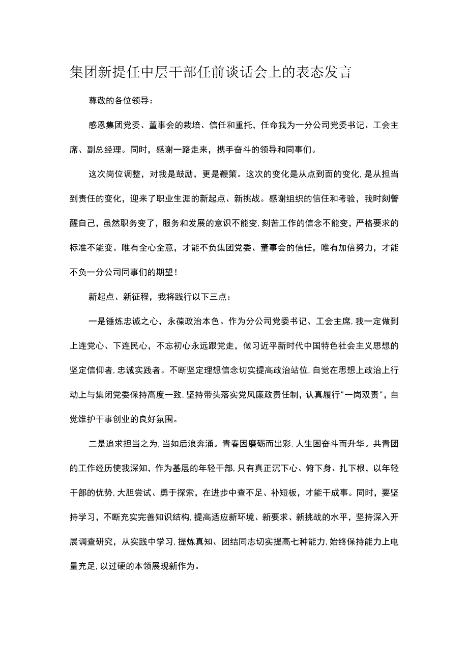 集团新提任中层干部任前谈话会上的表态发言.docx_第1页