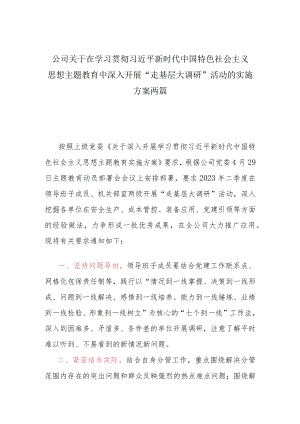 关于在2023主题教育中深入开展“走基层 大调研”大活动的实施方案两篇.docx