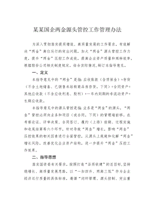 某某国企两金源头管控工作管理办法.docx