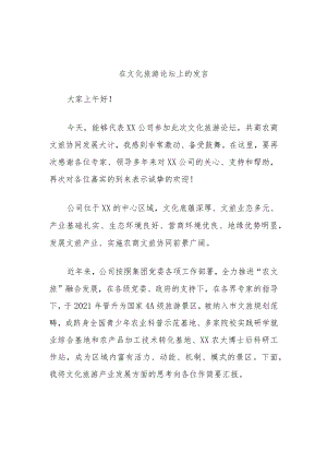 在文化旅游论坛上的发言.docx