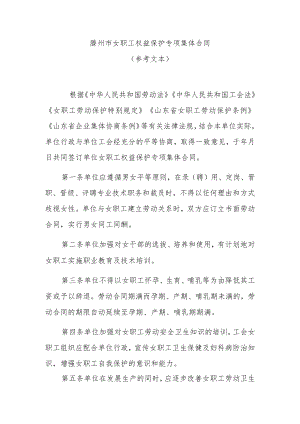 滕州市女职工权益保护专项集体合同.docx