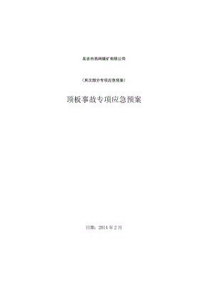 顶板事故专项应急预案.(DOC).docx