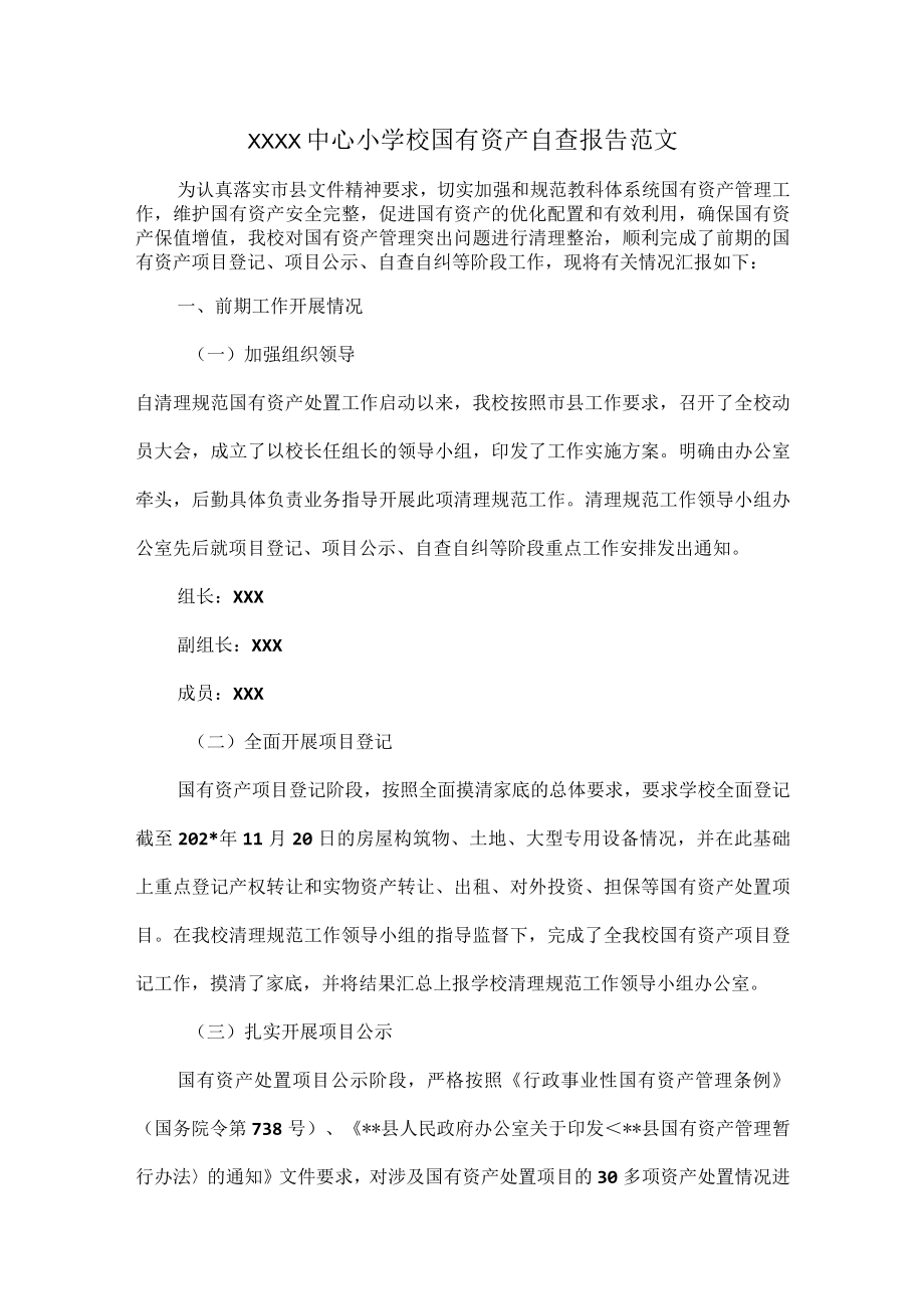 XXXX中心小学校国有资产自查报告范文.docx_第1页