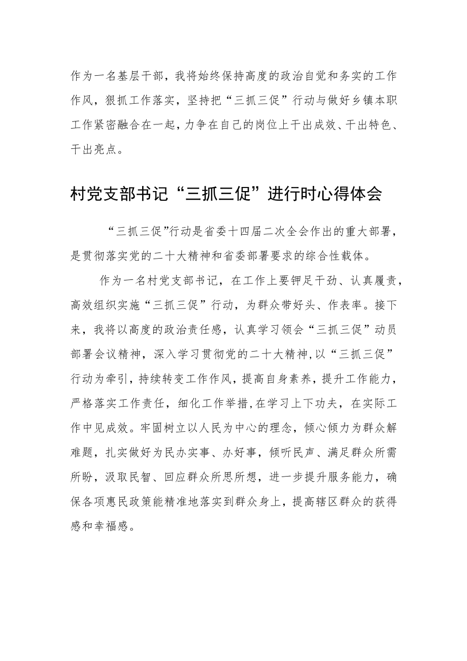 村党支部书记【“三抓三促”行动进行时】心得体会范文(3篇).docx_第2页