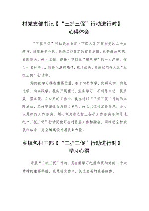 村党支部书记【“三抓三促”行动进行时】心得体会范文(3篇).docx