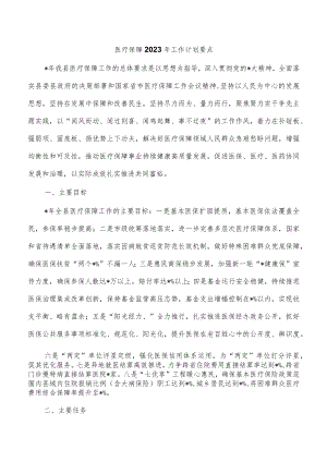 医疗保障2023年工作计划要点.docx