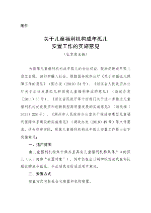 关于儿童福利机构成年孤儿安置工作的实施意见.docx