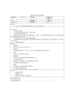 办公文档范本统计分析专员岗位说明.docx