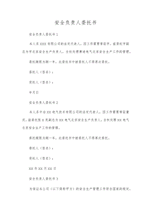 安全负责人委托书.docx