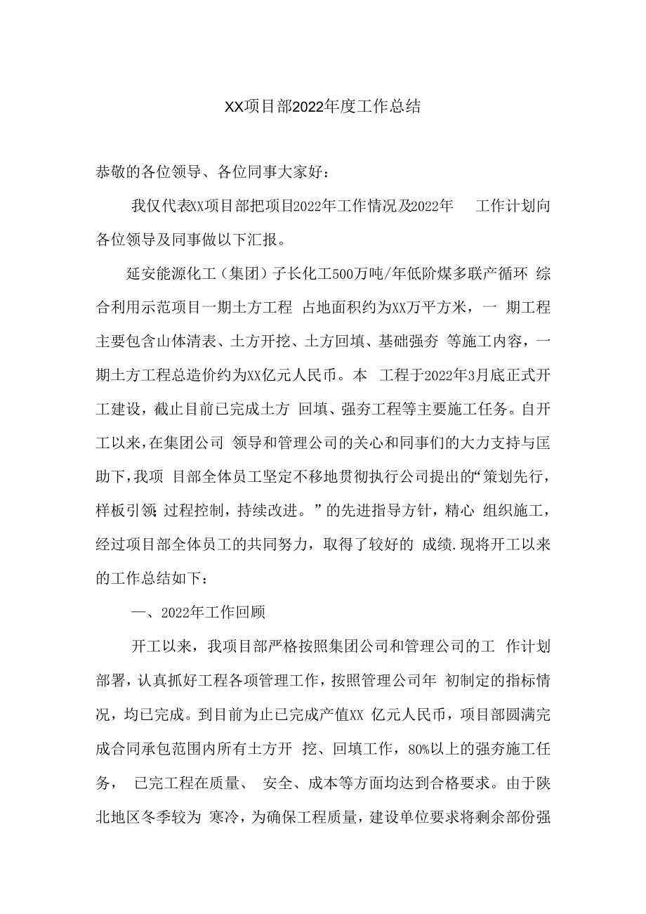 项目经理年度工作总结.docx_第1页