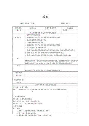 英才学院健康评估教案03-2胸部、 腹部.docx