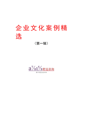 案例分析君远咨询企业文化案例精选页.docx