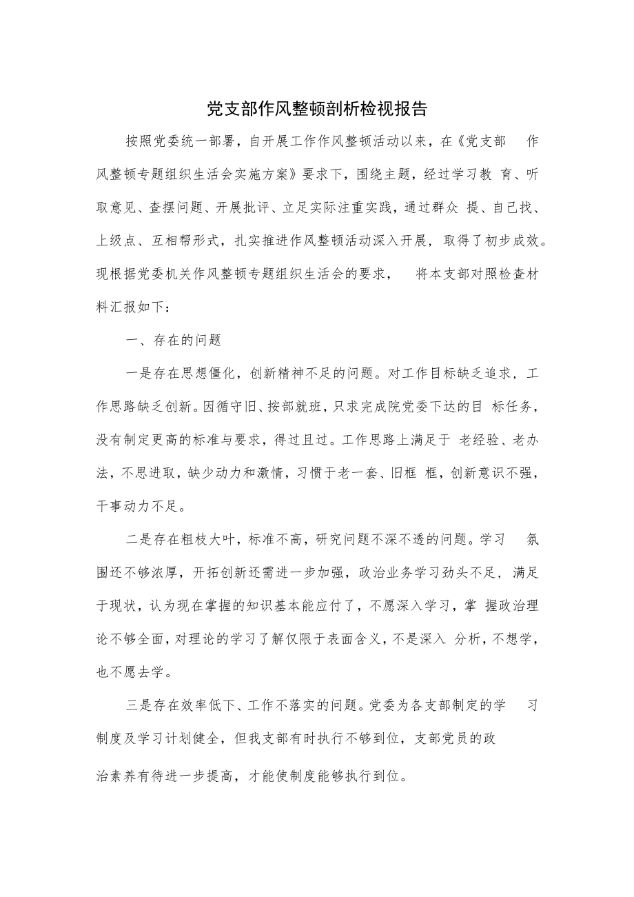 党支部作风整顿剖析检视报告.docx_第1页