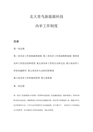 新能源科技有限公司内审工作制度(初稿).docx