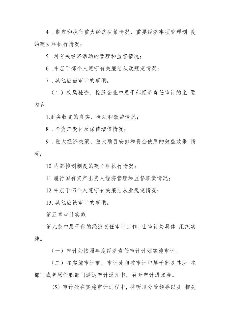 职业技术学院中层干部经济责任审计办法.docx_第3页