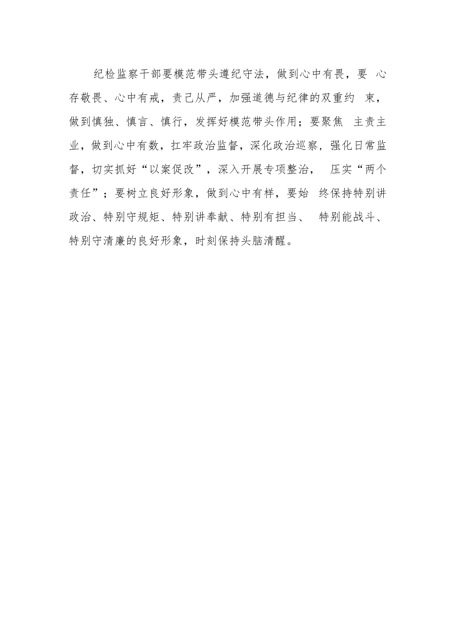 纪检监察干部在纪检监察干部队伍教育整顿心得体会.docx_第2页