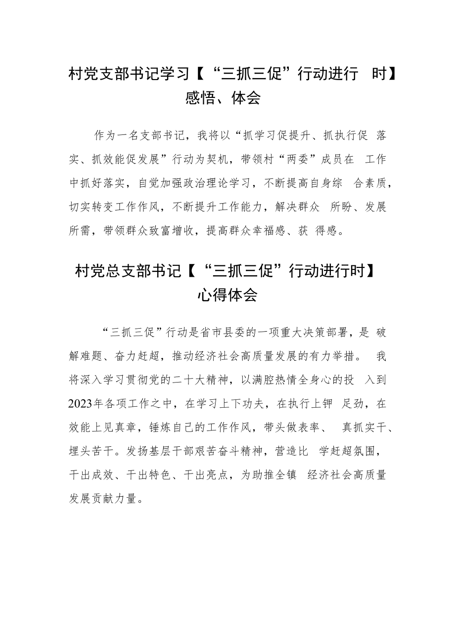 村党支部书记学习【“三抓三促”行动进行时】感悟、体会范文(3篇).docx_第1页