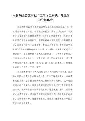 水务局团总支书记“三学习三解决”专题学习心得体会.docx