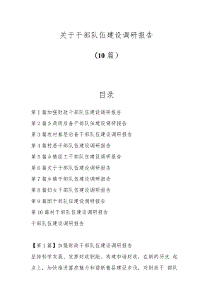 （10篇）关于干部队伍建设调研报告.docx