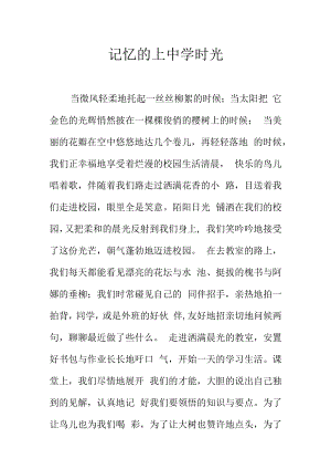 记忆的上中学时光.docx