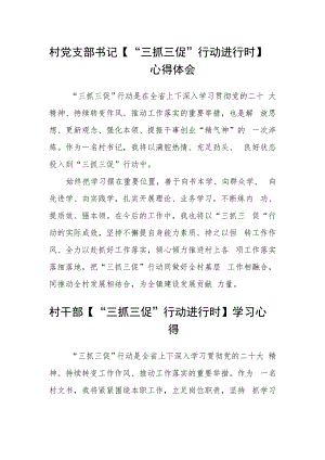 村党支部书记【“三抓三促”行动进行时】心得体会合篇【三篇】.docx