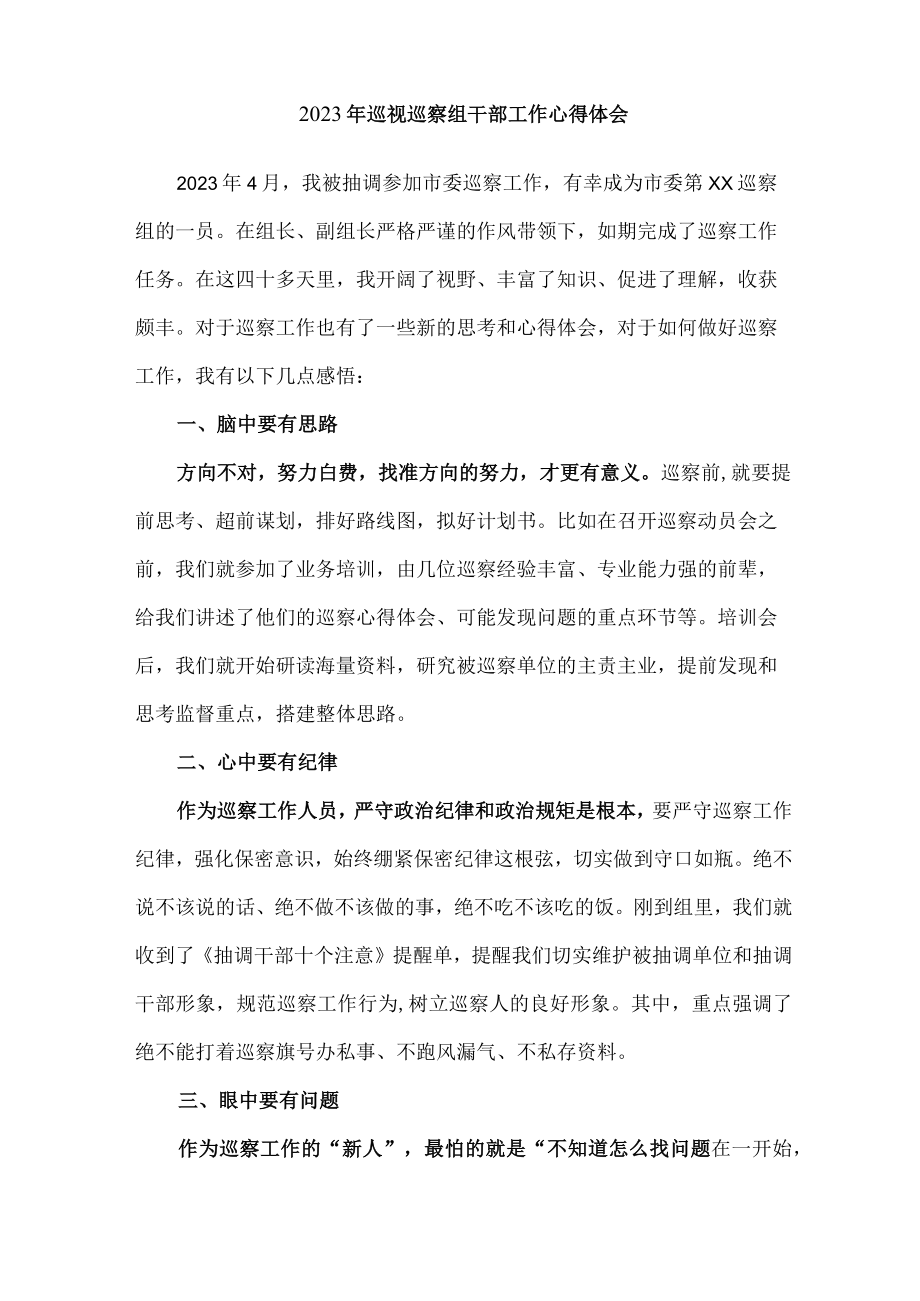 新版区县2023年纪检巡察组巡检工作个人心得体会 （汇编8份）.docx_第2页