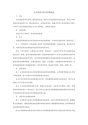 公司投资项目管理制度.docx