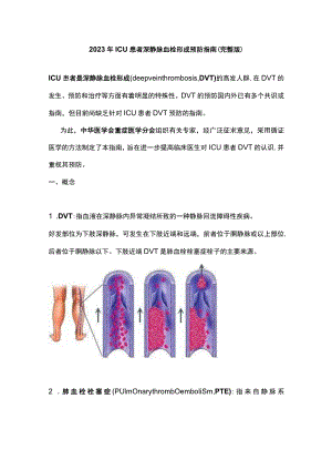 2023年ICU患者深静脉血栓形成预防指南（完整版）.docx