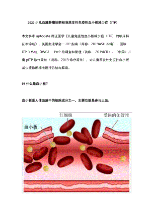 2023小儿血液肿瘤诊断标准原发性免疫性血小板减少症（ITP）.docx