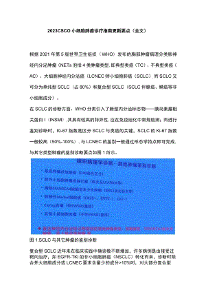 2023 CSCO小细胞肺癌诊疗指南更新要点（全文）.docx