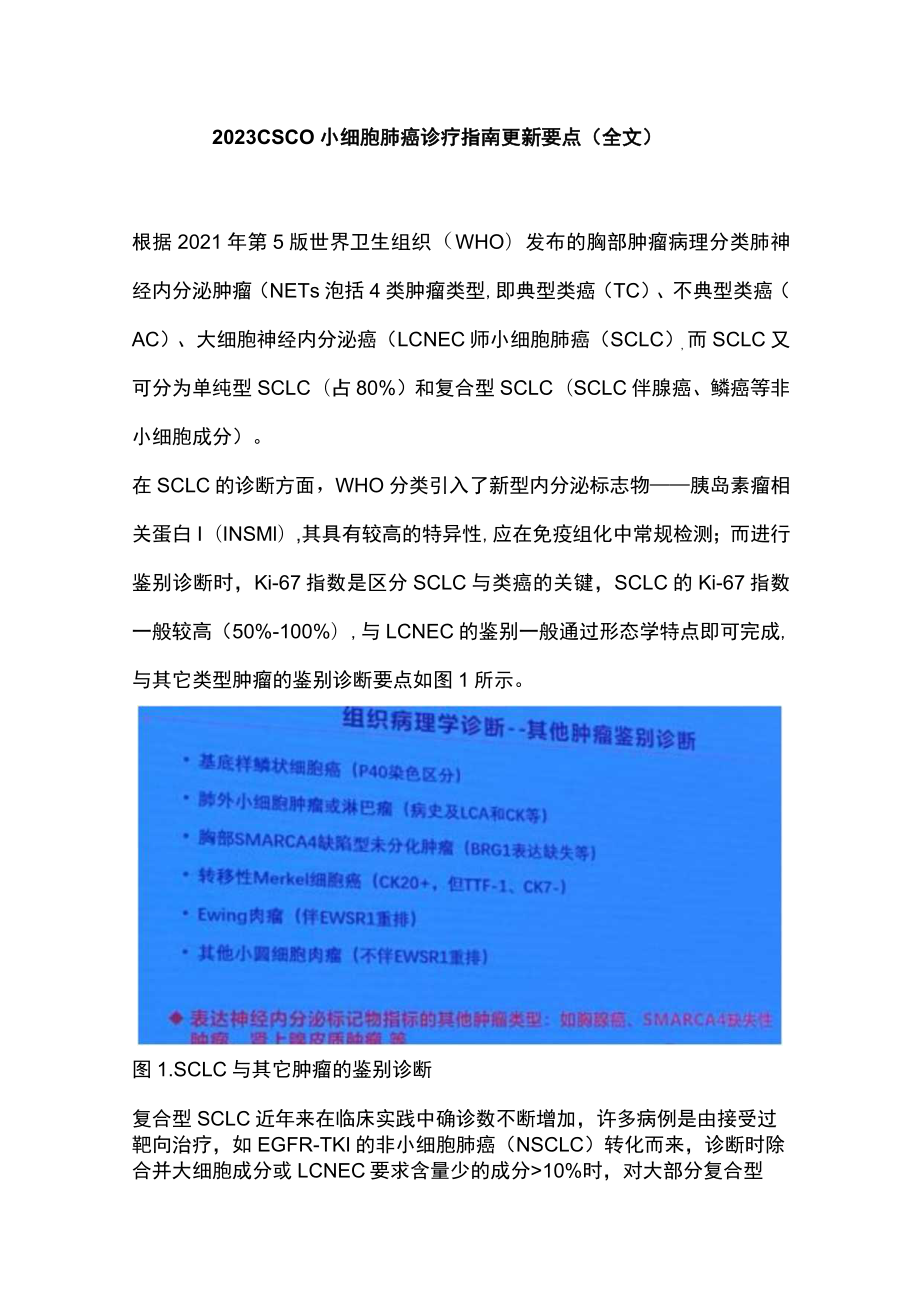 2023 CSCO小细胞肺癌诊疗指南更新要点（全文）.docx_第1页