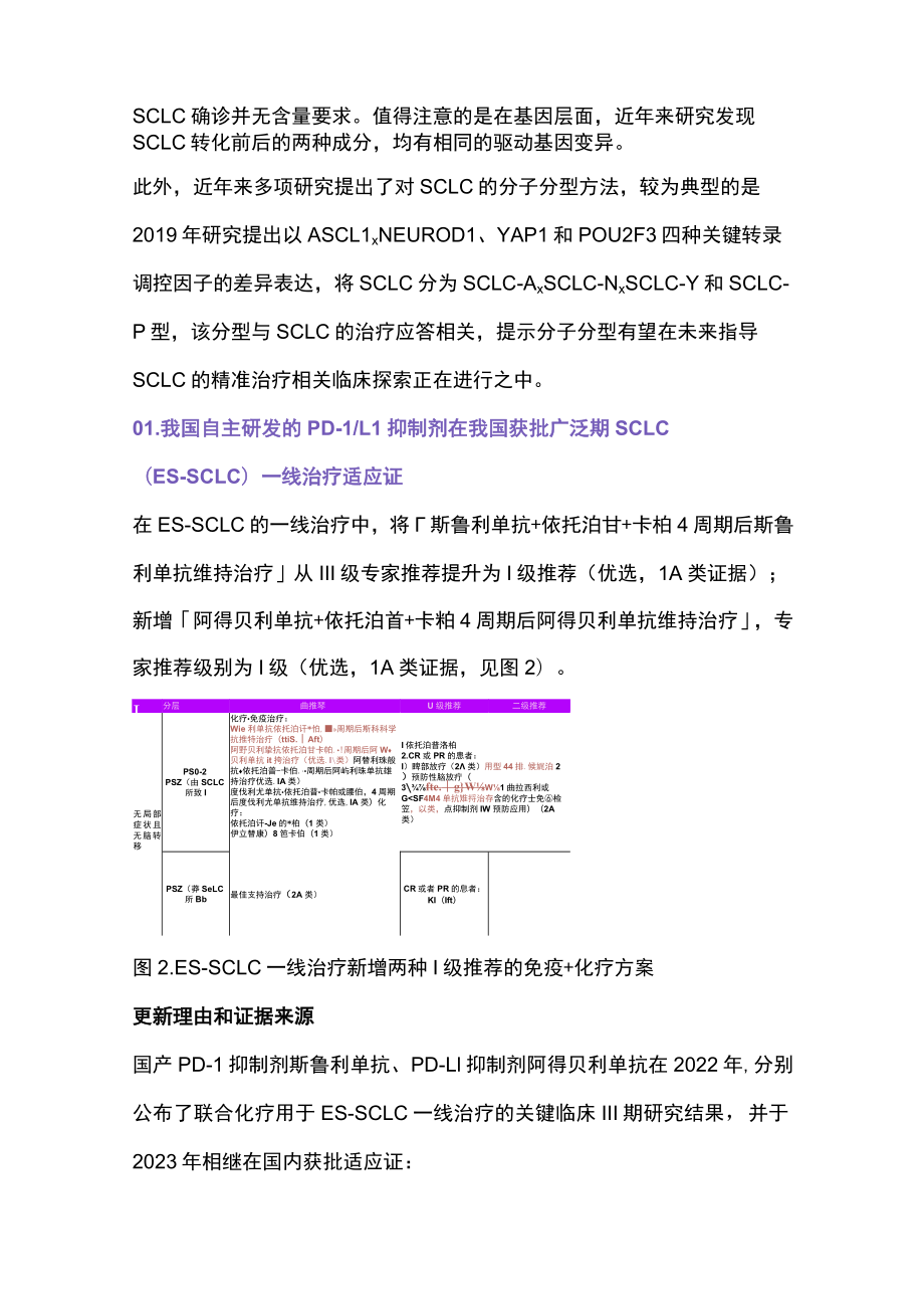 2023 CSCO小细胞肺癌诊疗指南更新要点（全文）.docx_第2页