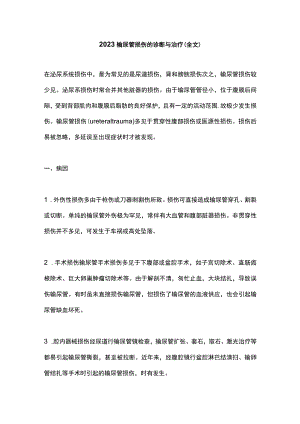 2023输尿管损伤的诊断与治疗（全文）.docx