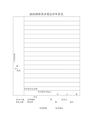 副高级职务评委会评审意见表.docx