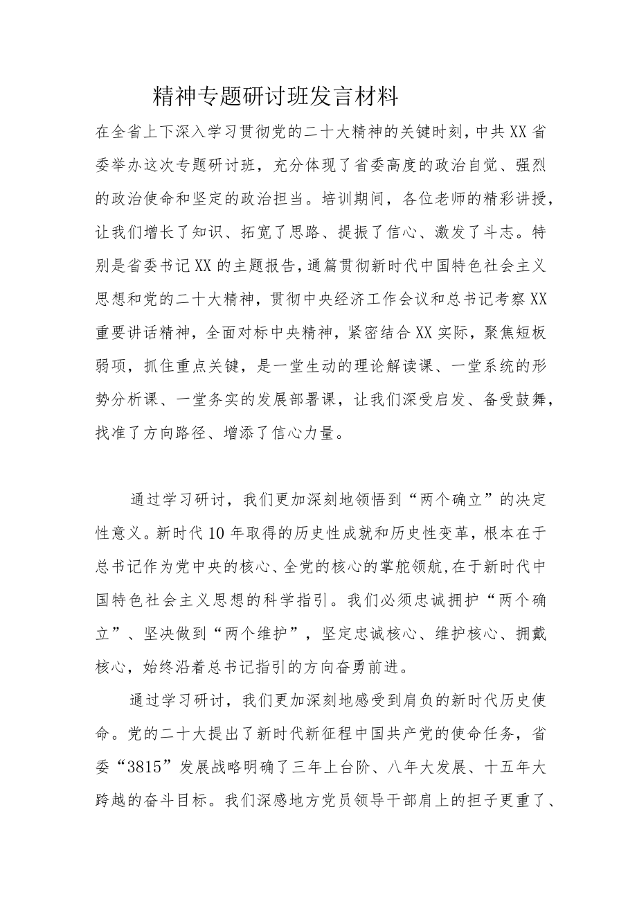 精神专题研讨班发言材料.docx_第1页