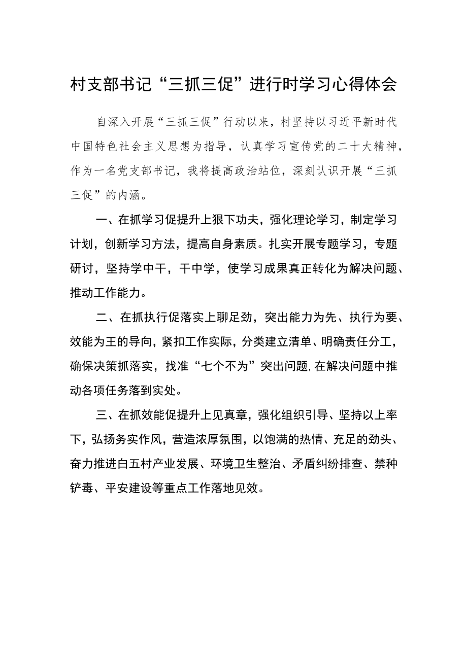 村支部书记“三抓三促”进行时学习心得体会.docx_第1页